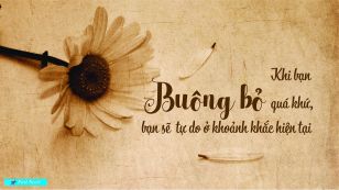 Phương pháp luyện tập Tâm Từ
